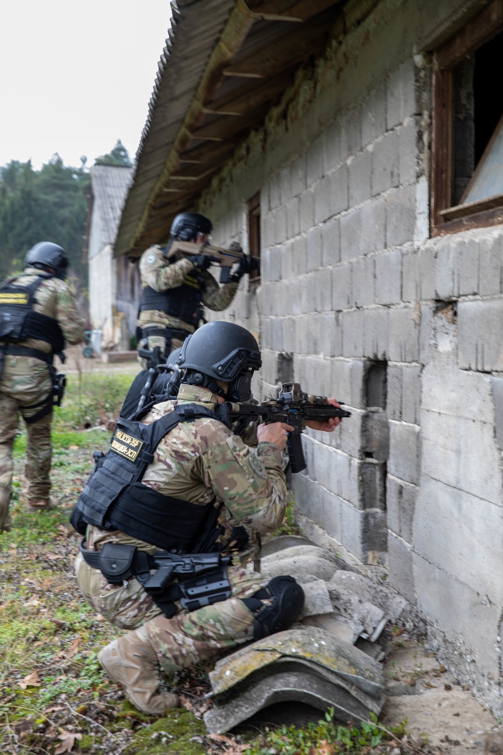 Exercise Brutalist Corvid in Bosnia and Herzegovina