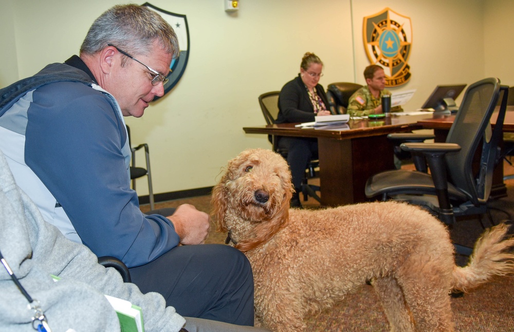 Meet Rosie:  Army Cyber Protection Brigade therapy dog