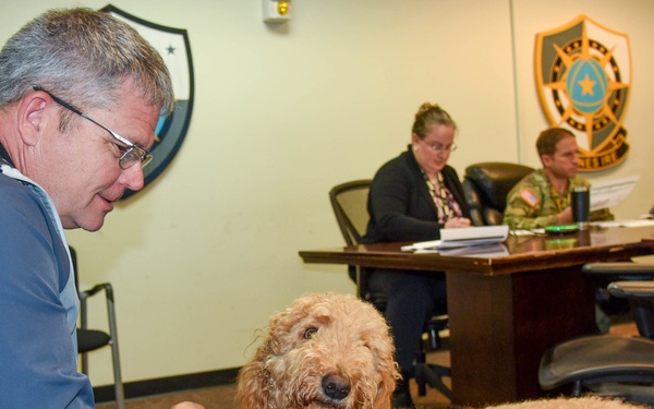 Meet Rosie:  Army Cyber Protection Brigade therapy dog