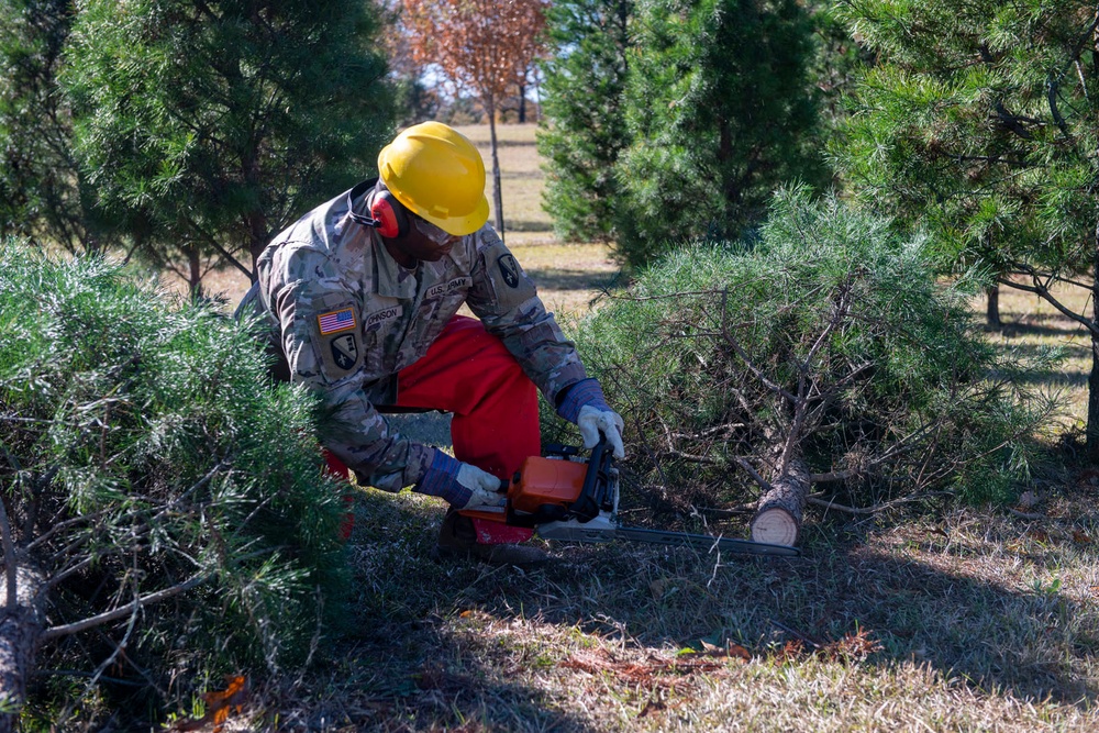 La. Guard spreads holiday cheer with donated Christmas trees