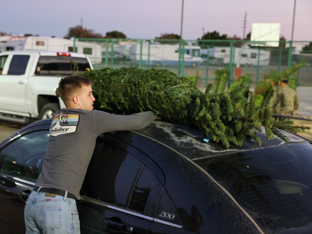 Trees for Troops provides free Christmas trees to MCAS Yuma families