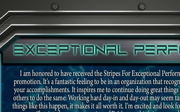 Excellent Performer Award Graphic