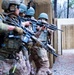 Green Berets and Royal Saudi Special Security Forces Exercise