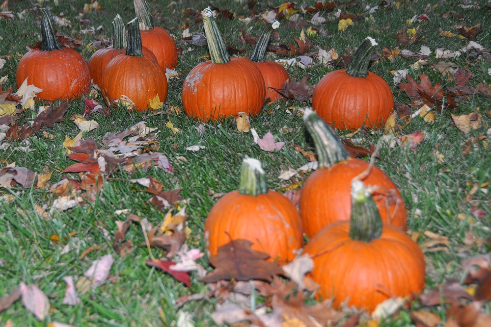 910th gets into autumn spirit at YARS Fall Fest