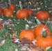 910th gets into autumn spirit at YARS Fall Fest