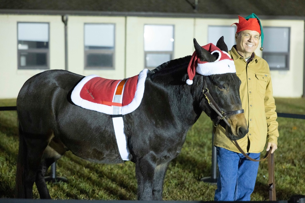 1st TSC children, commander usher in holiday season with tree lighting