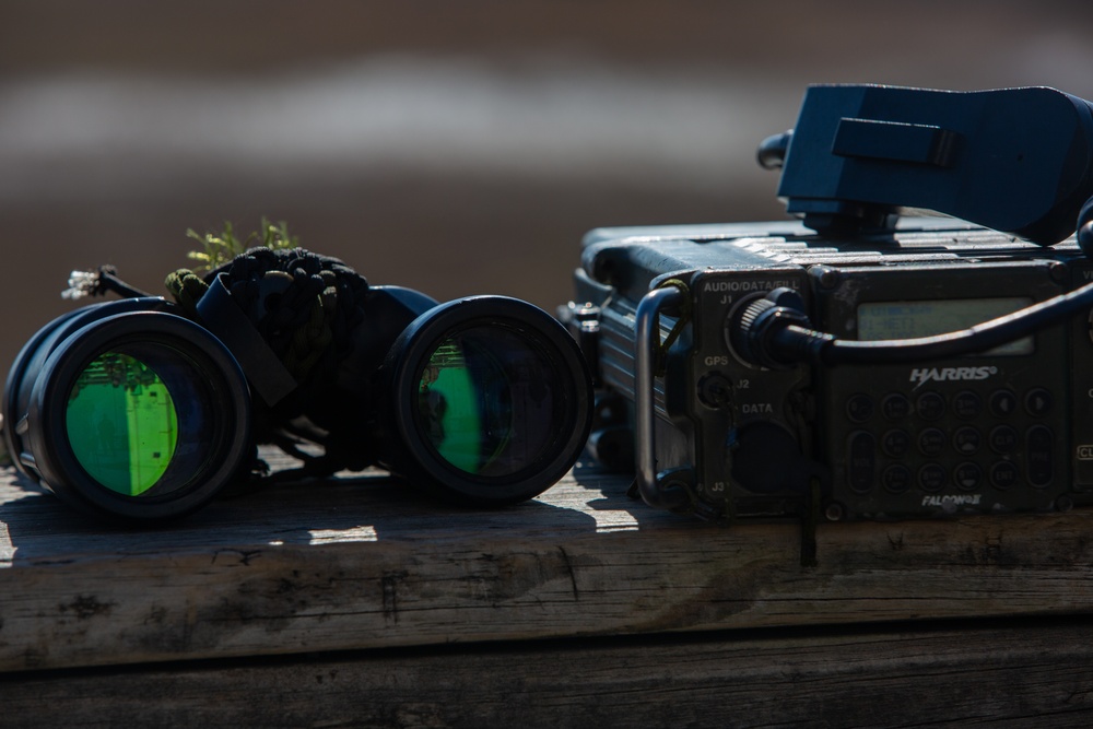 RTAM Supports II MEF During a JTAC Exercise