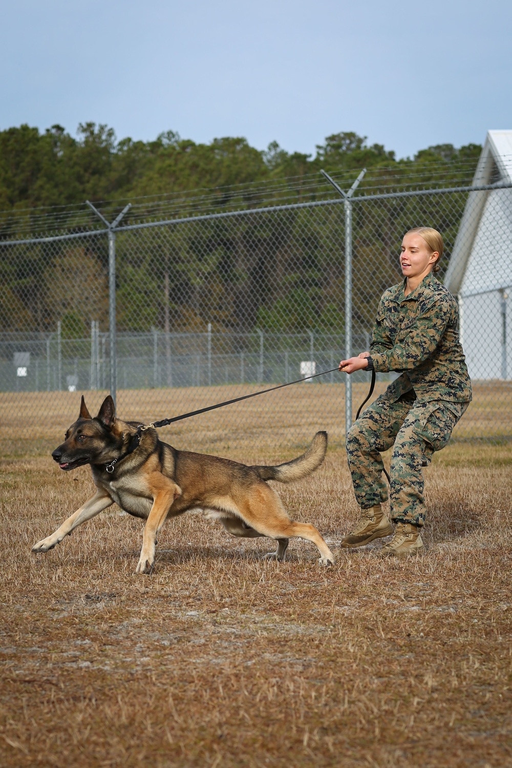 Make Ready: Military Working Dogs and their Handlers