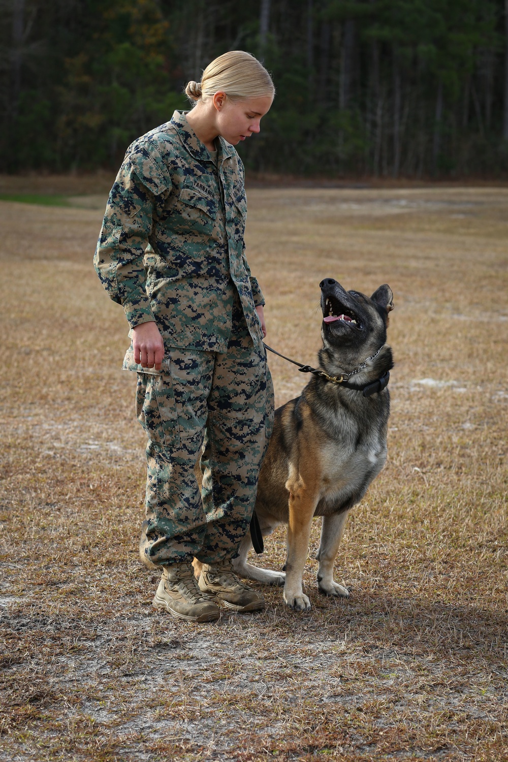 Make Ready: Military Working Dogs and their Handlers