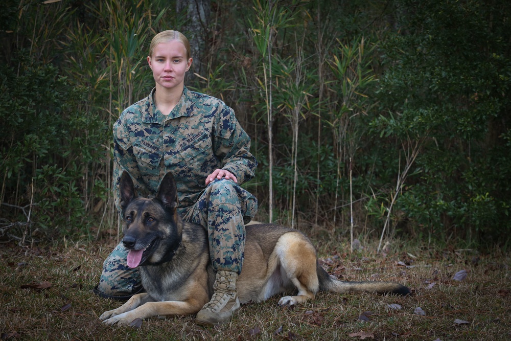 Make Ready: Military Working Dogs and their Handlers