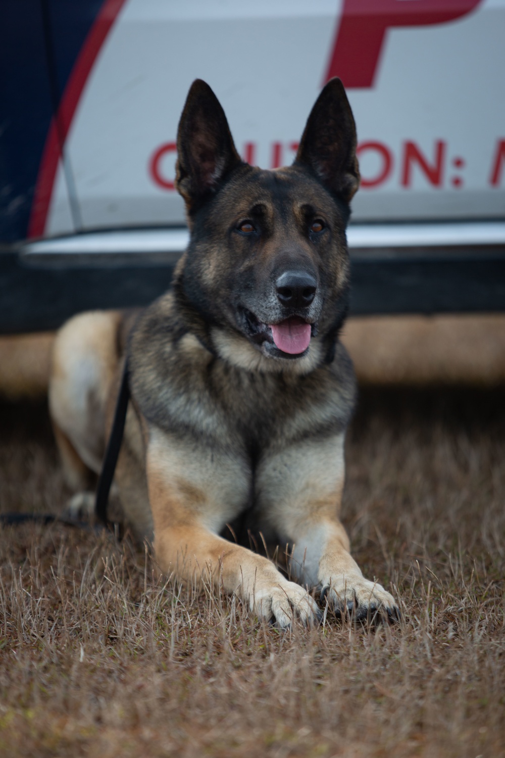 Make Ready: Military Working Dogs and their Handlers