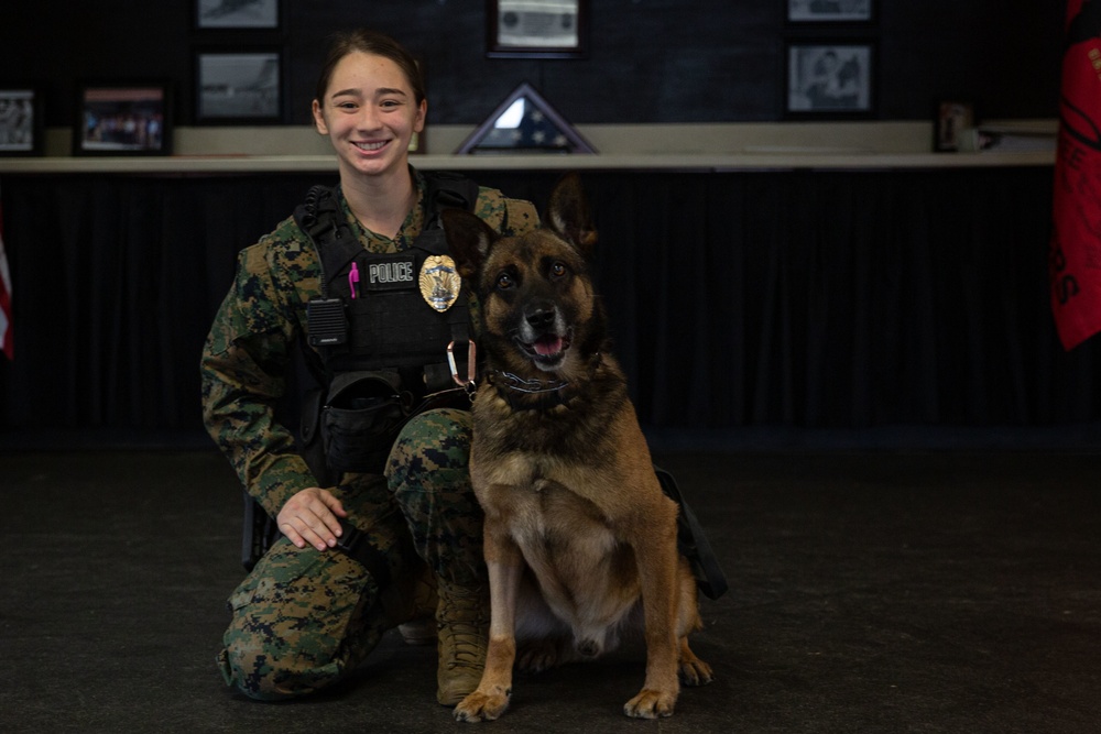 Make Ready: Military Working Dogs and their Handlers