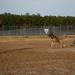 Make Ready: Military Working Dogs and their Handlers