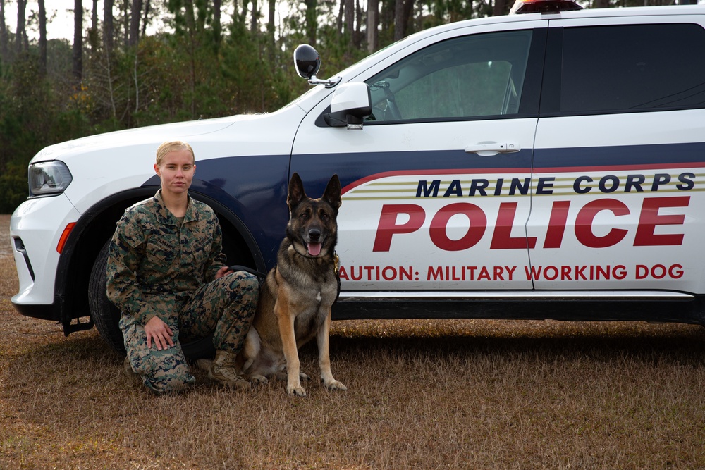 Make Ready: Military Working Dogs and their Handlers