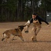 Make Ready: Military Working Dogs and their Handlers