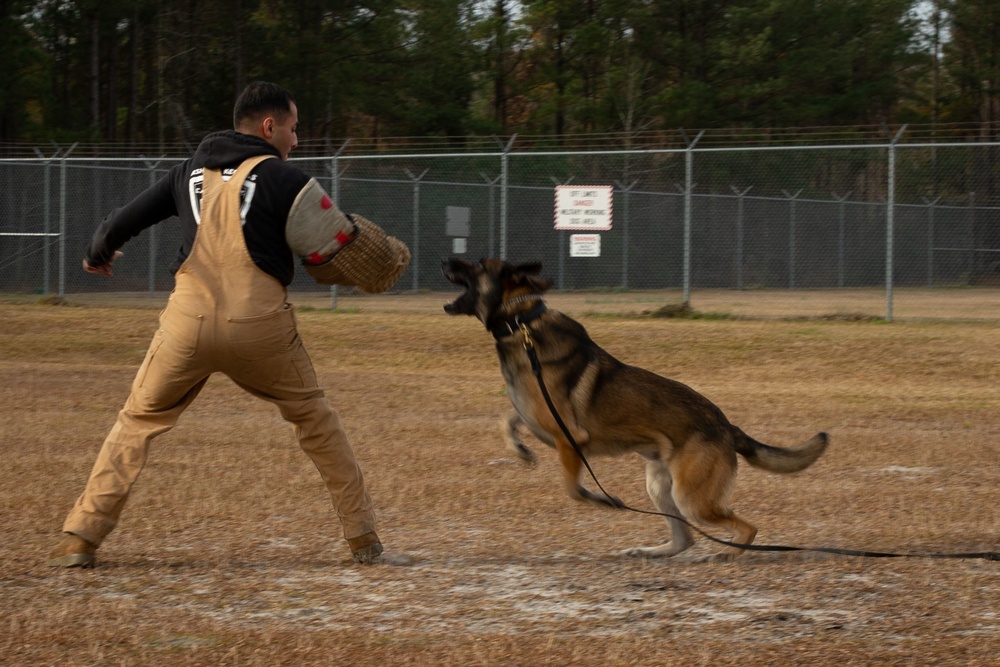 Make Ready: Military Working Dogs and their Handlers