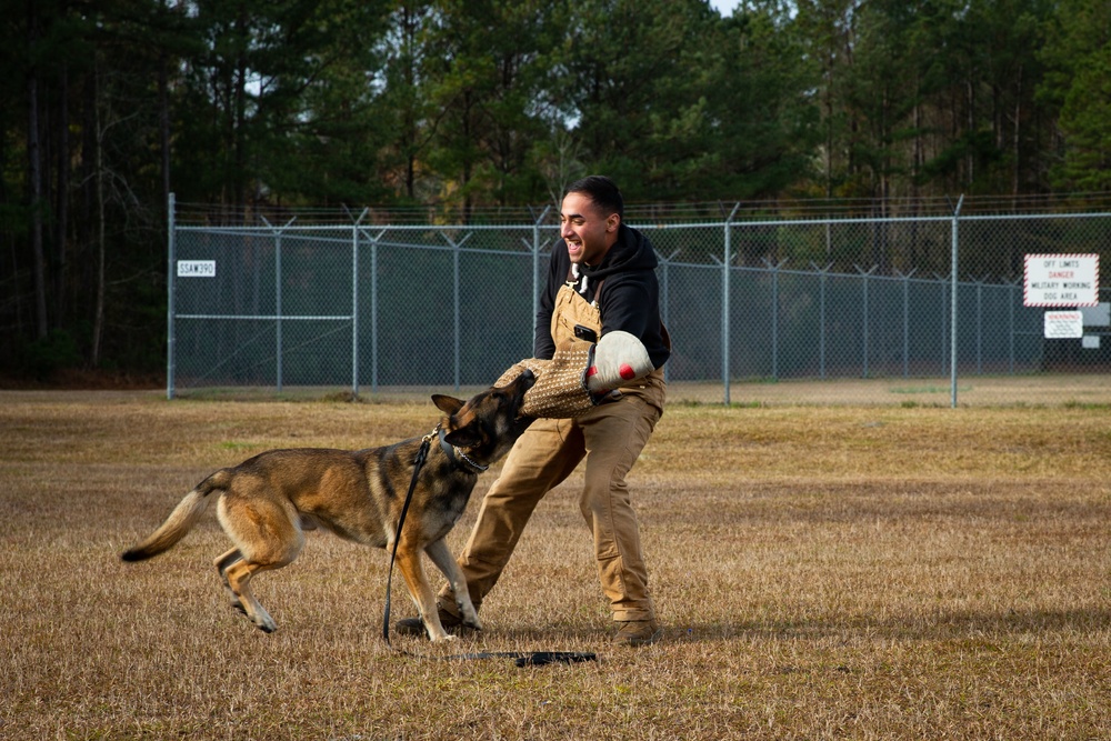 Make Ready: Military Working Dogs and their Handlers