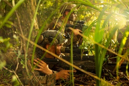 Stand-in Force Exercise 1st Battalion, 2nd Marines platoon attacks
