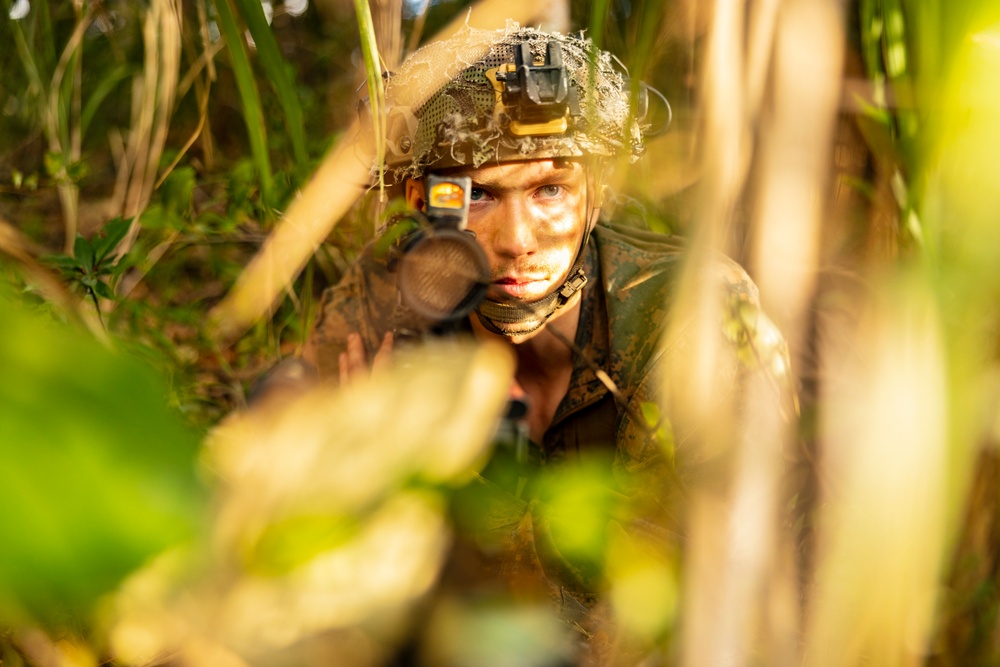 Stand-in Force Exercise 1st Battalion, 2nd Marines platoon attacks