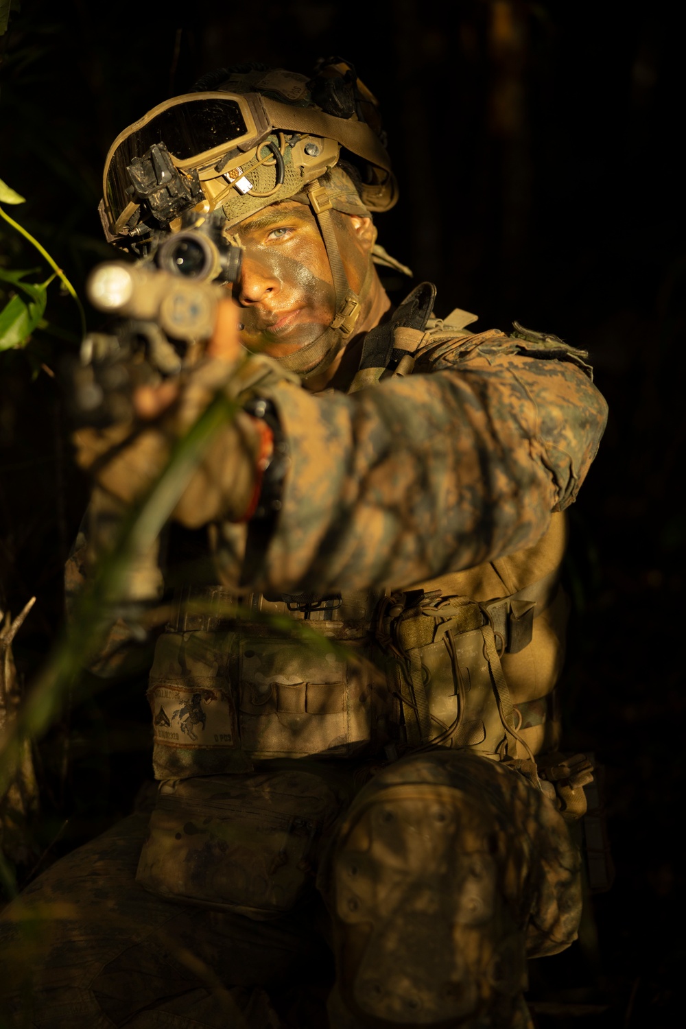 Stand-in Force Exercise 1st Battalion, 2nd Marines platoon attacks