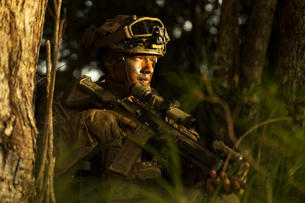 Stand-in Force Exercise 1st Battalion, 2nd Marines platoon attacks