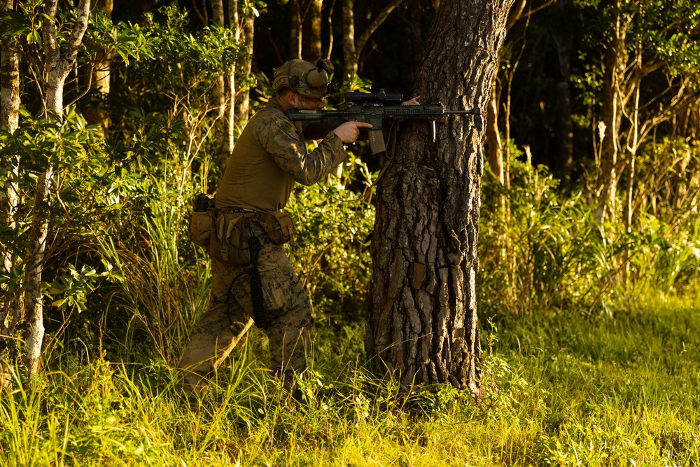 Stand-in Force Exercise 1st Battalion, 2nd Marines platoon attacks