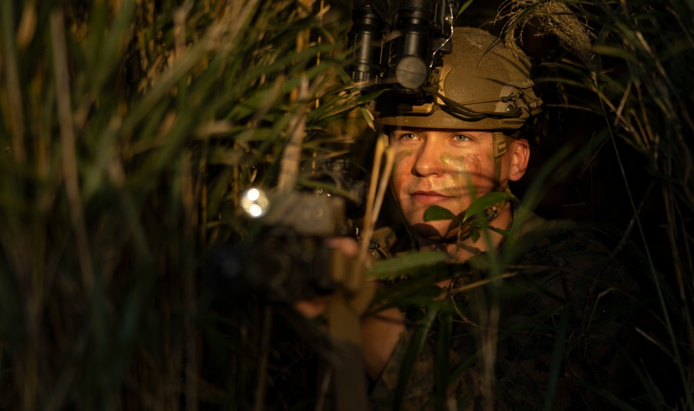 Stand-in Force Exercise 1st Battalion, 2nd Marines platoon attacks