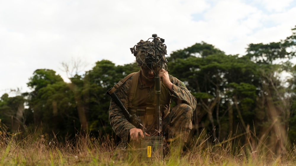 Stand-in Force Exercise 1st Battalion, 2nd Marines platoon attacks