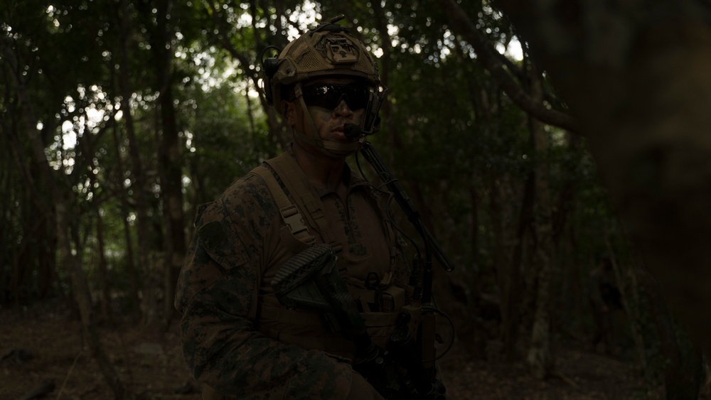 Stand-in Force Exercise 1st Battalion, 2nd Marines platoon attacks