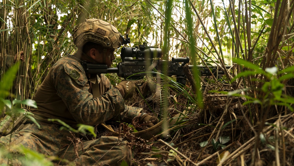 Stand-in Force Exercise 1st Battalion, 2nd Marines platoon attacks