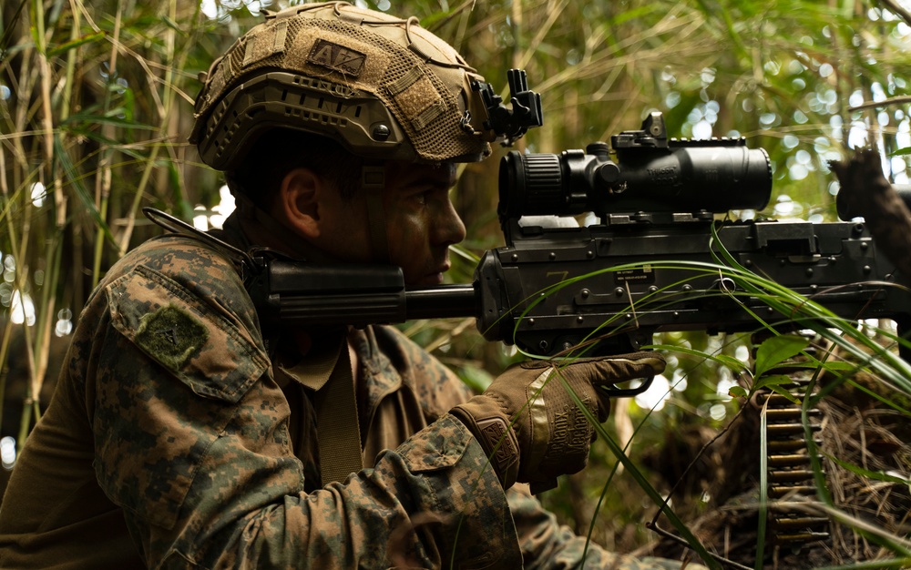 Stand-in Force Exercise 1st Battalion, 2nd Marines platoon attacks