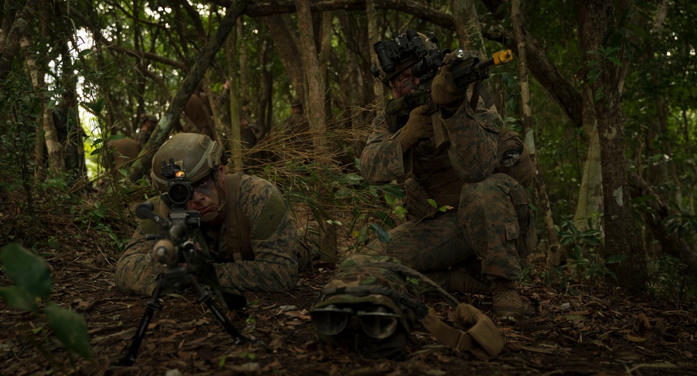 Stand-in Force Exercise 1st Battalion, 2nd Marines platoon attacks