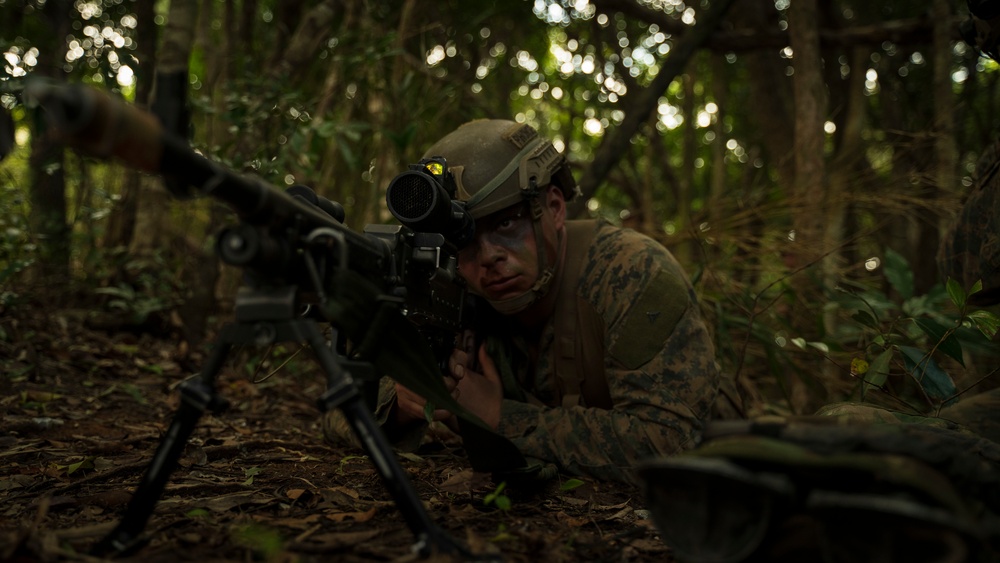 Stand-in Force Exercise 1st Battalion, 2nd Marines platoon attacks