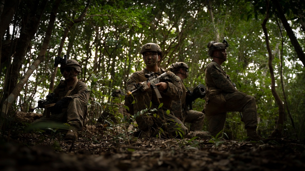 Stand-in Force Exercise 1st Battalion, 2nd Marines platoon attacks