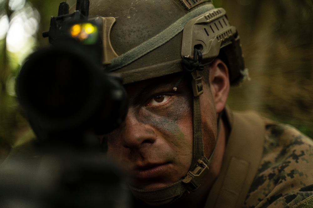 Stand-in Force Exercise 1st Battalion, 2nd Marines platoon attacks