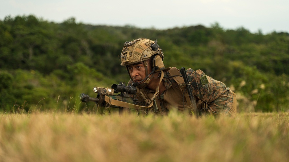 Stand-in Force Exercise 1st Battalion, 2nd Marines platoon attacks