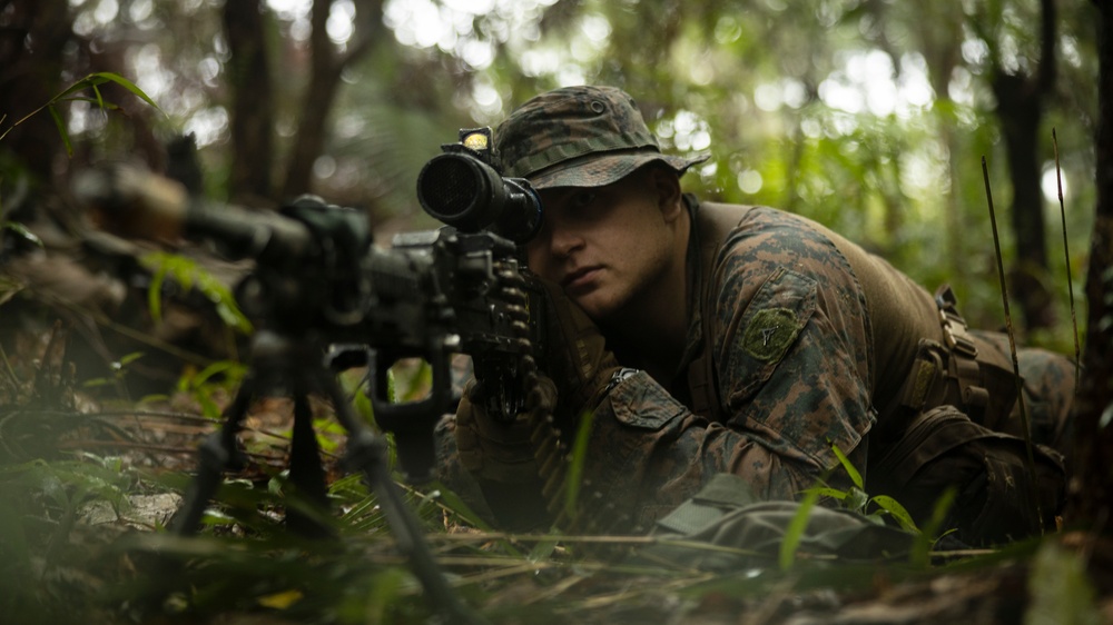 Stand-in Force Exercise 1st Battalion, 2nd Marines platoon attacks