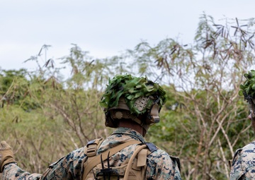 Look Good, Fight Good