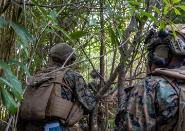 Look Good, Fight Good