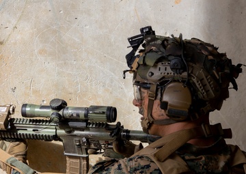 Look Good, Fight Good