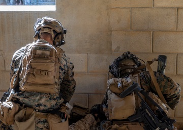 Look Good, Fight Good