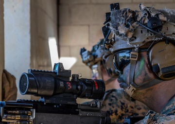 Look Good, Fight Good