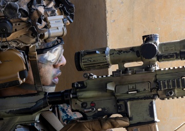 Look Good, Fight Good