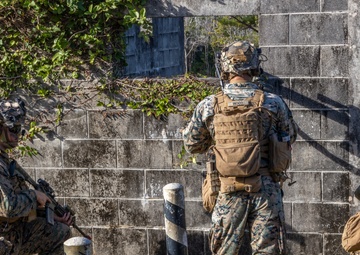 Look Good, Fight Good