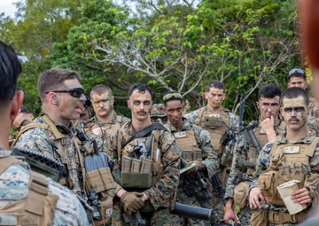 Look Good, Fight Good