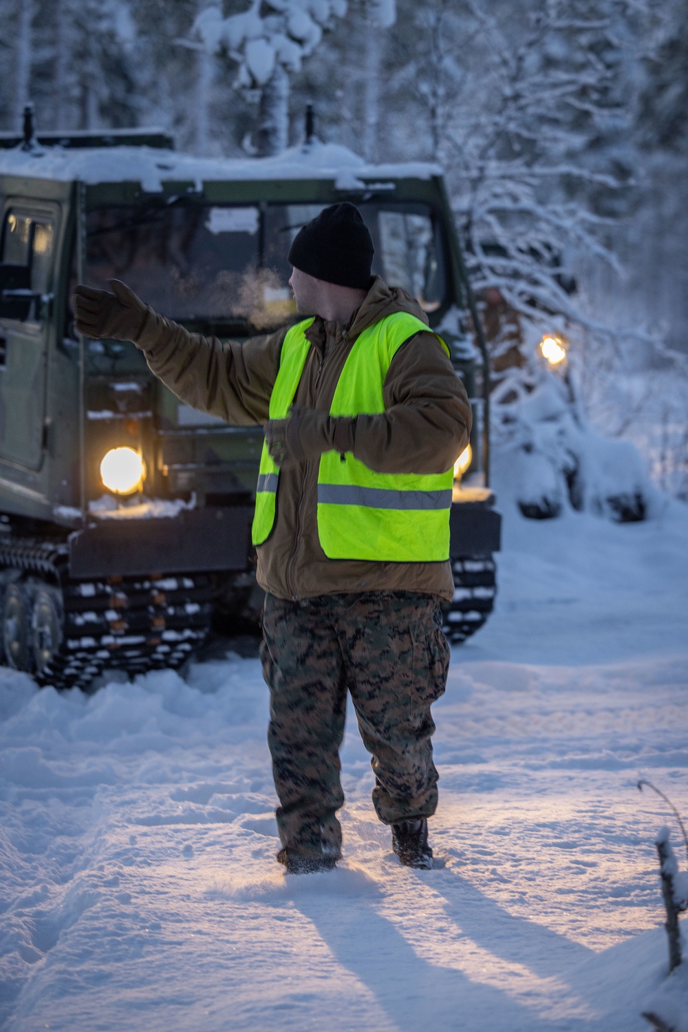 Bandvagn 206 Obstacles