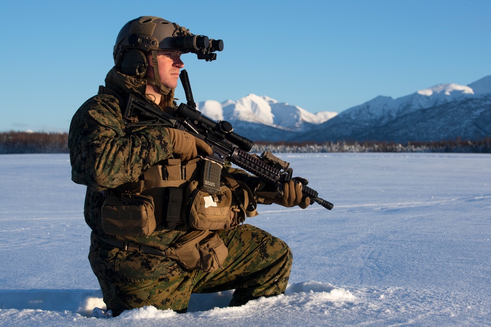 2d Reconnaissance Battalion Marines conduct cold weather training in Alaska