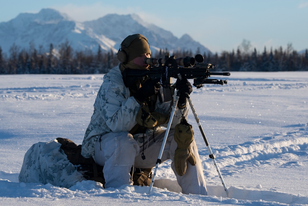 2d Reconnaissance Battalion Marines conduct cold weather training in Alaska