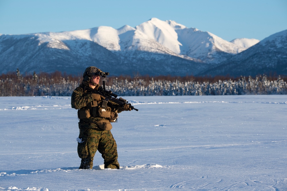 2d Reconnaissance Battalion Marines conduct cold weather training in Alaska