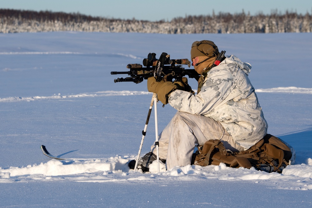 2d Reconnaissance Battalion Marines conduct cold weather training in Alaska